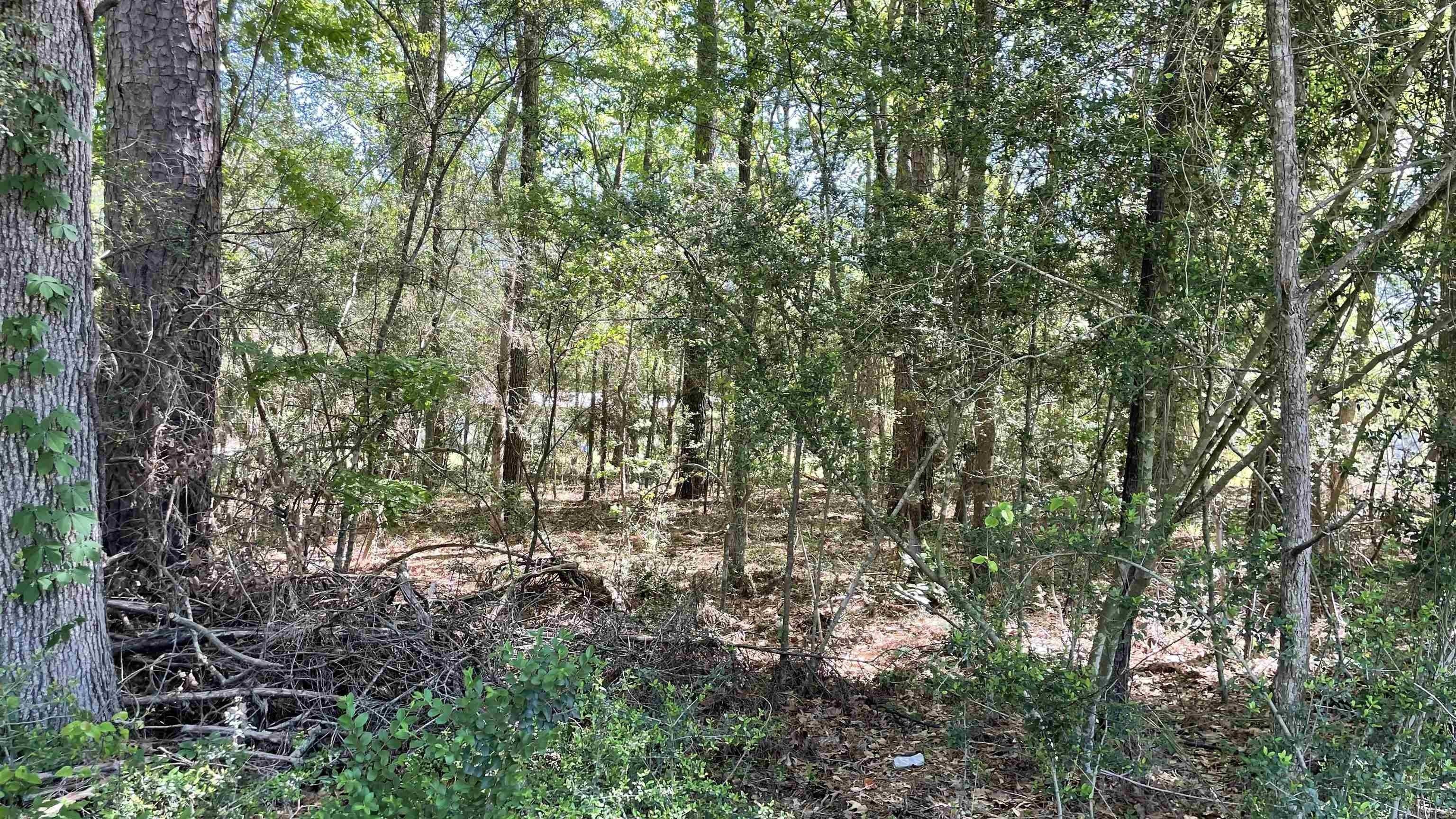 Sabine County Real Estate