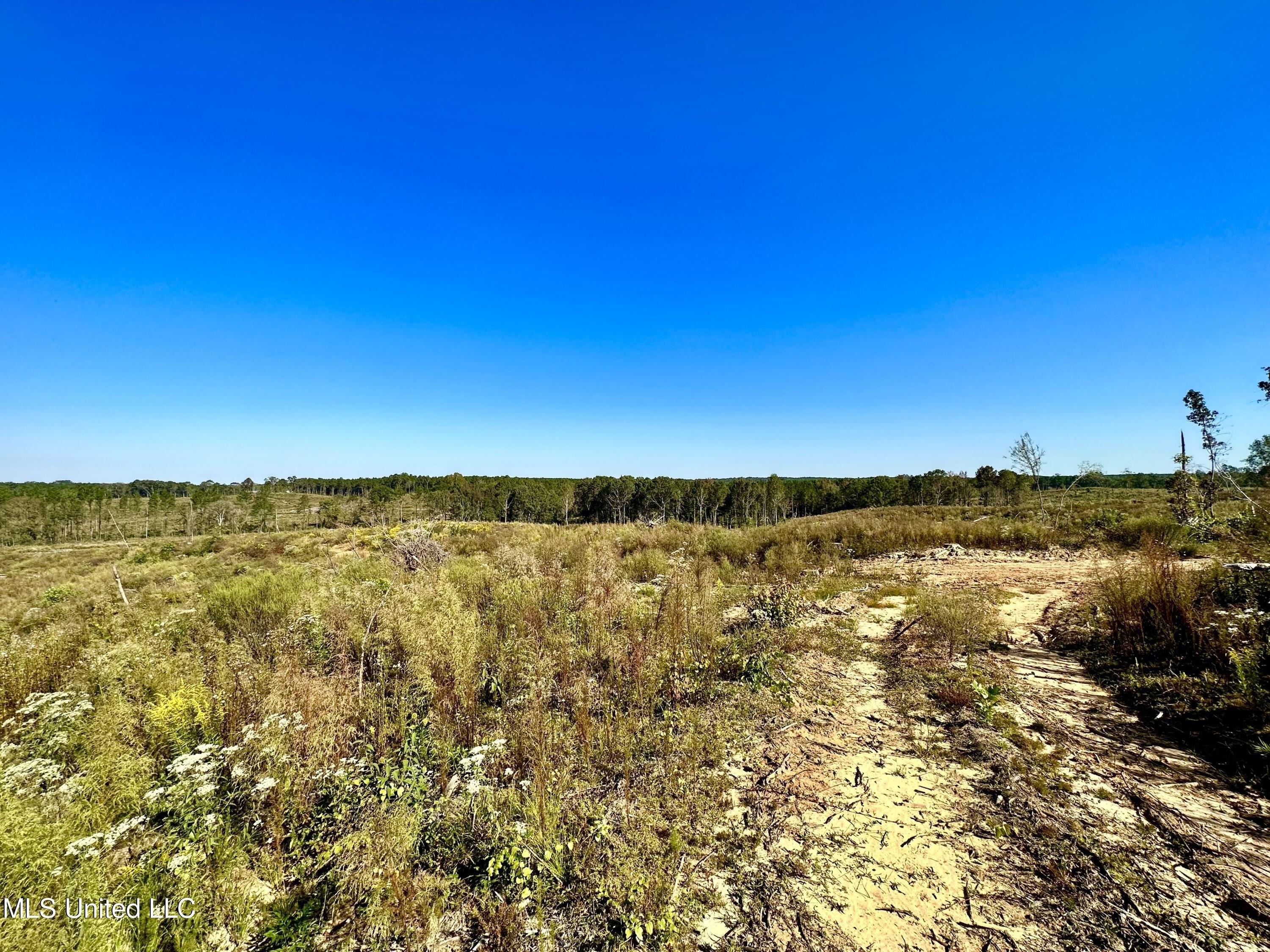 print property image