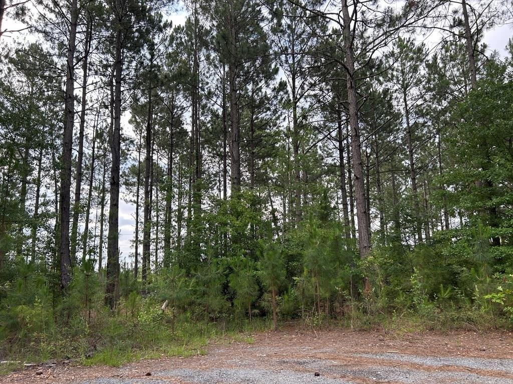 Property Image for Lot 13 Whispering Pines Dr