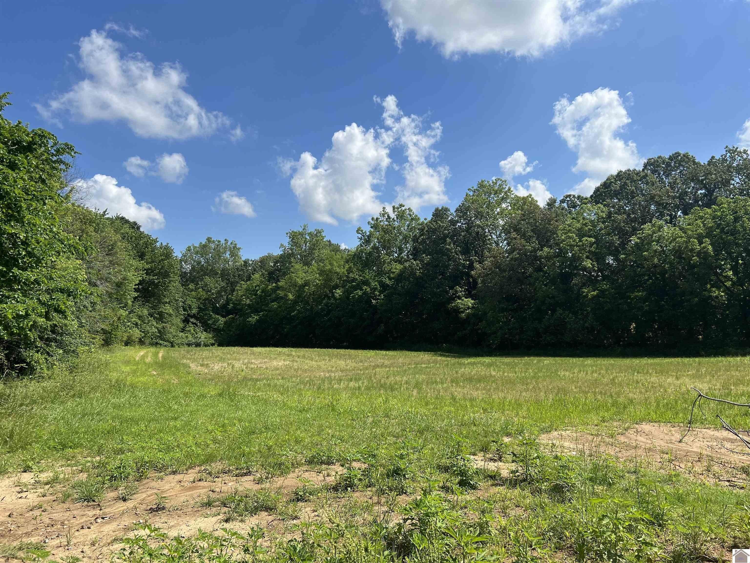 7875 Old Hinkleville Rd, West Paducah, KY 42086 MLS 127277 CENTURY 21