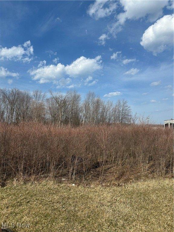 Property Image for Lost Nation Road