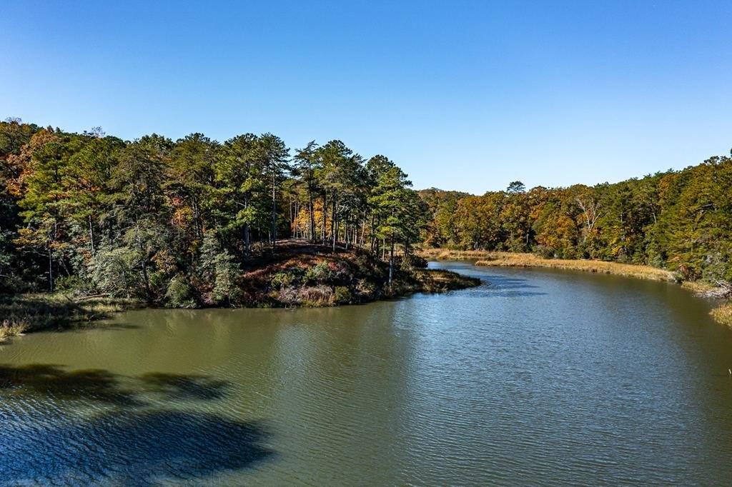 print property image