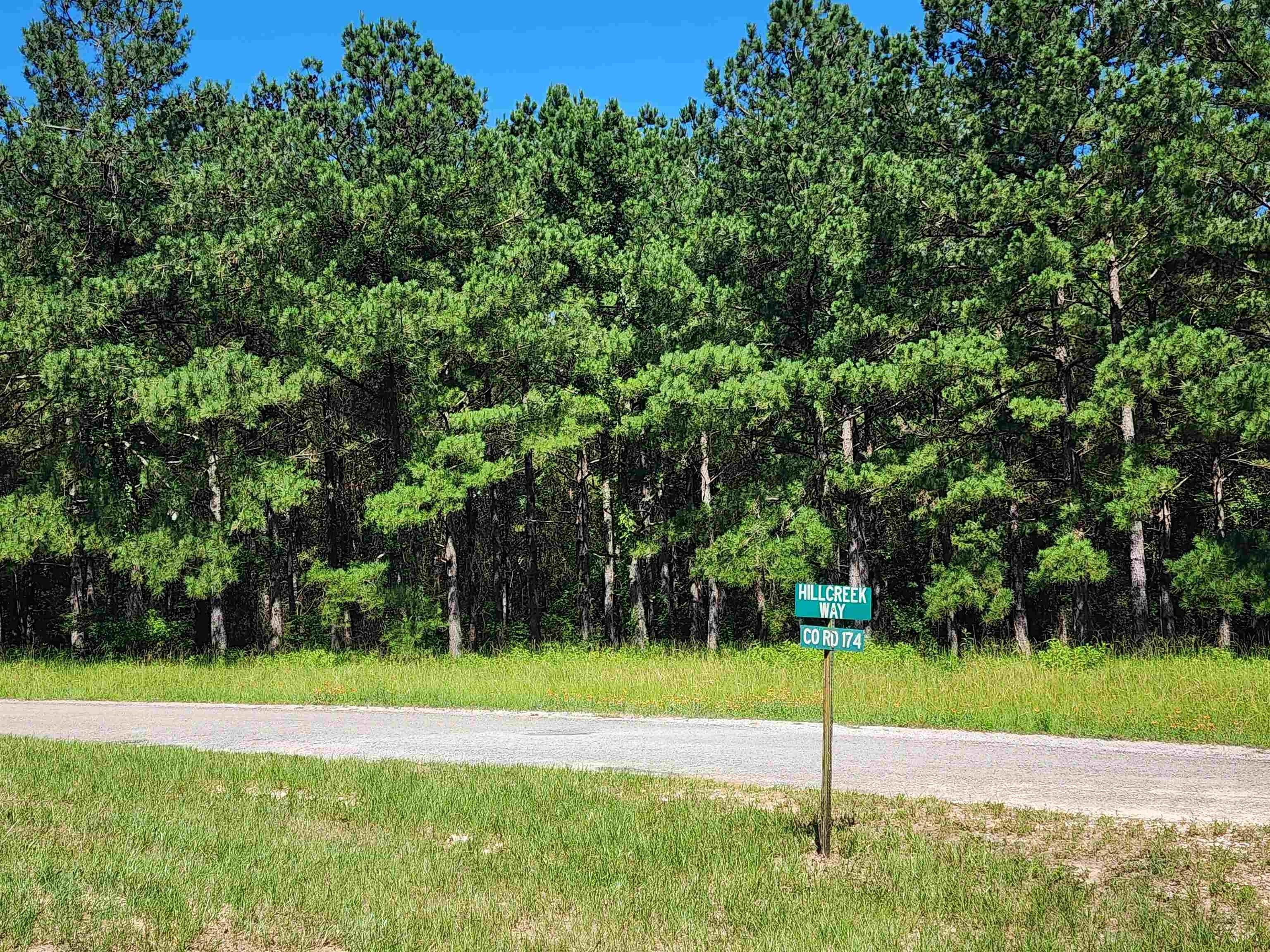 Lot 23, 2.179 Cypress Hills, Jasper, TX 75951 MLS 210651 CENTURY 21