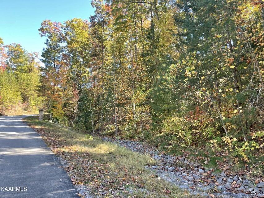 Property Image for Lot #34 W Long Rifle Rd