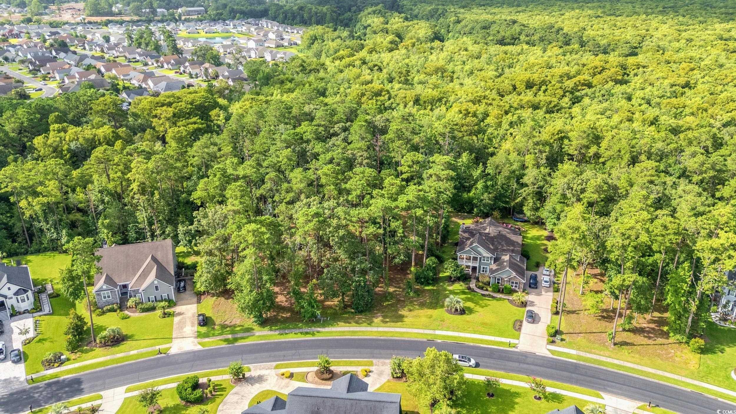 print property image