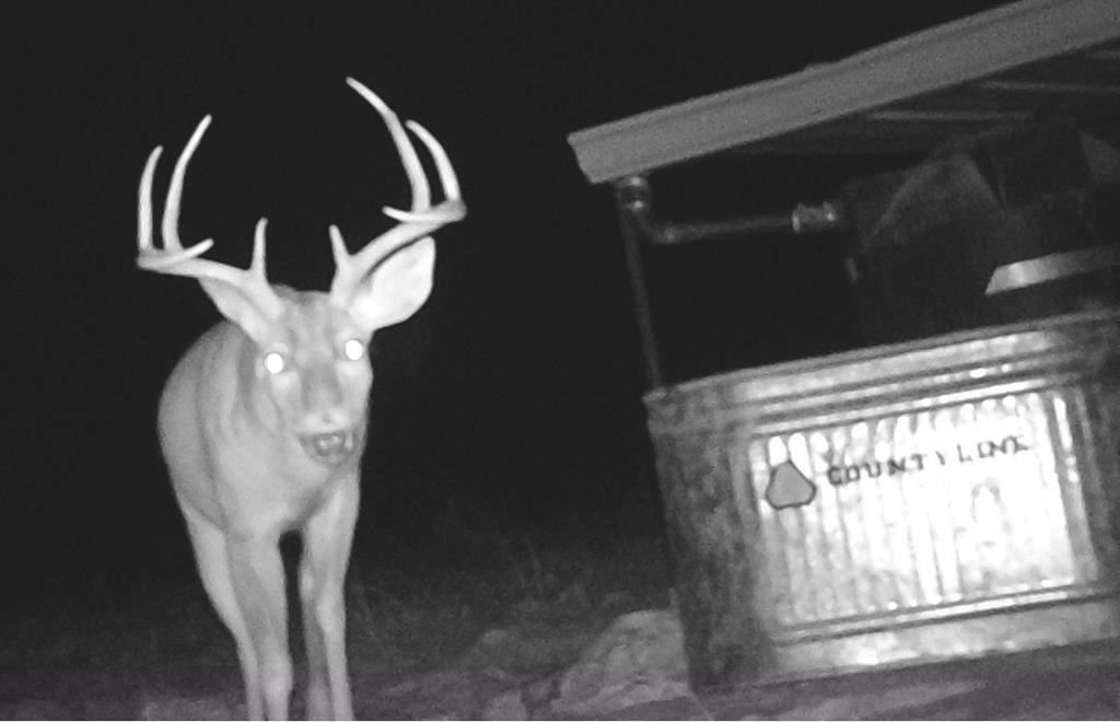 print property image