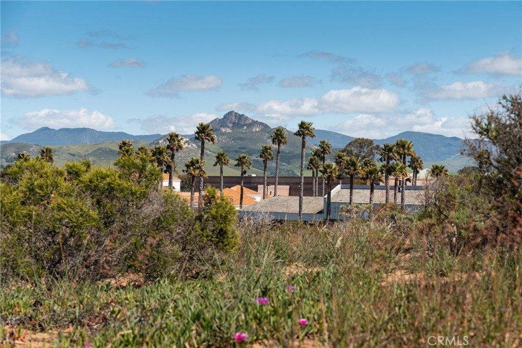 print property image