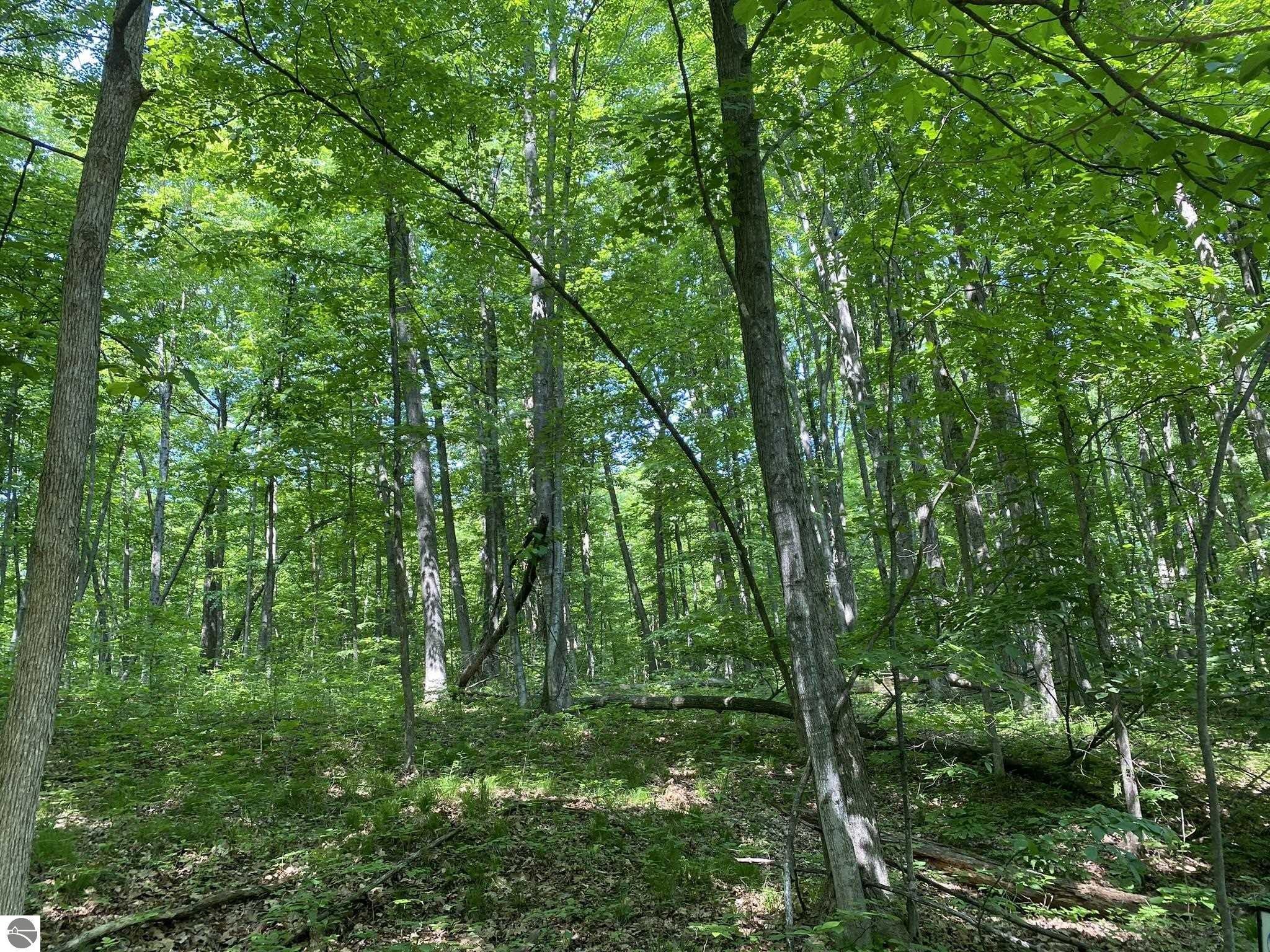 Property Image for Lot 71 Birch View Trail