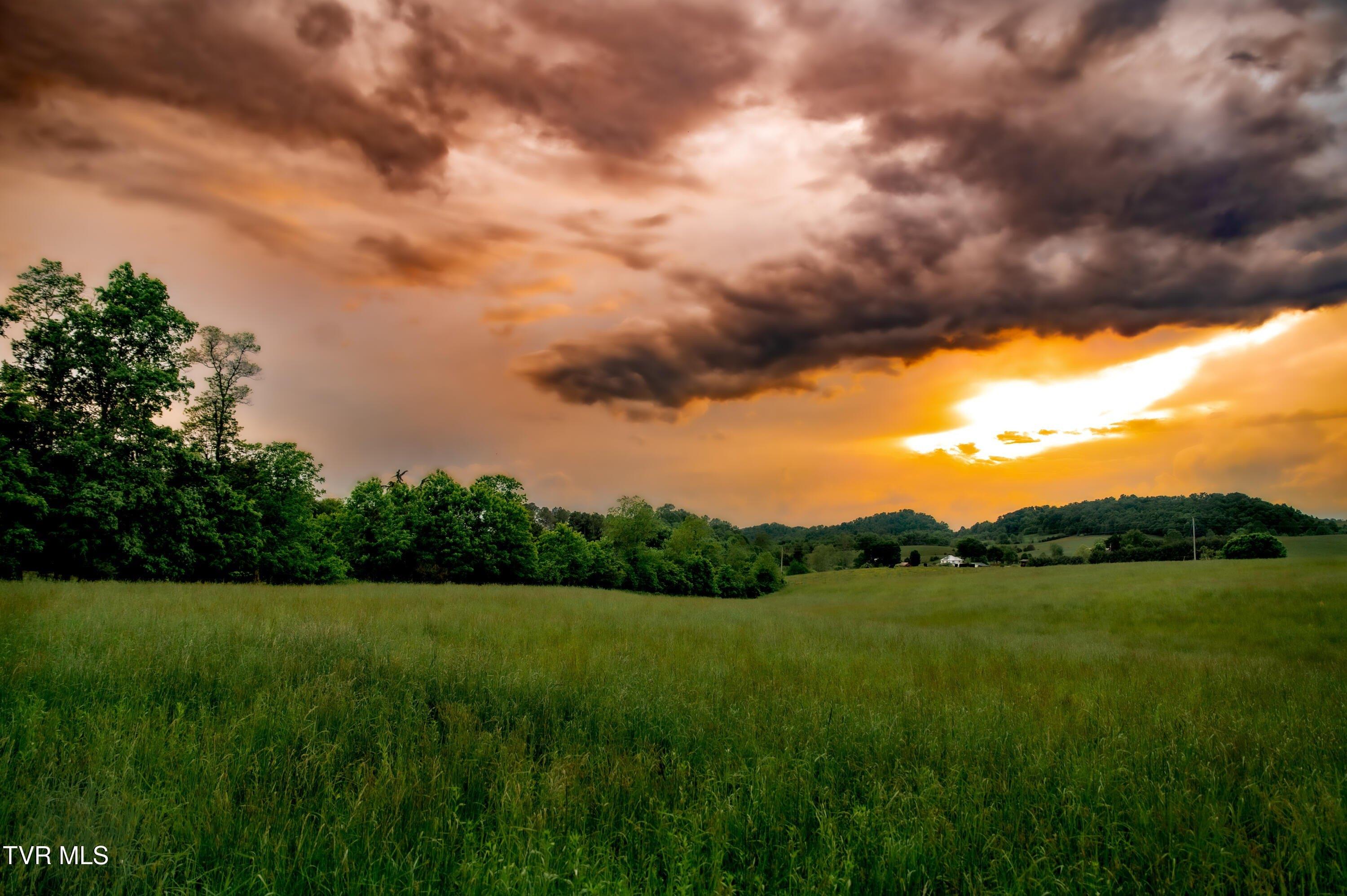 print property image