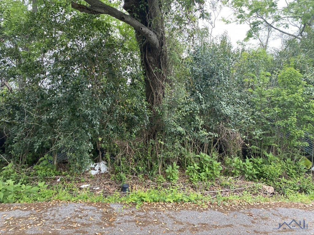 Property Image for Lot 14 E 134th Street