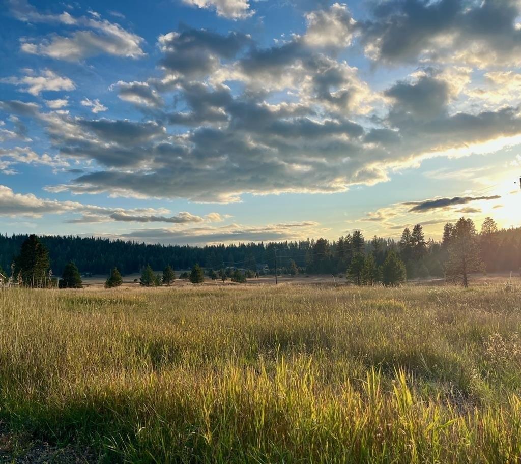 print property image