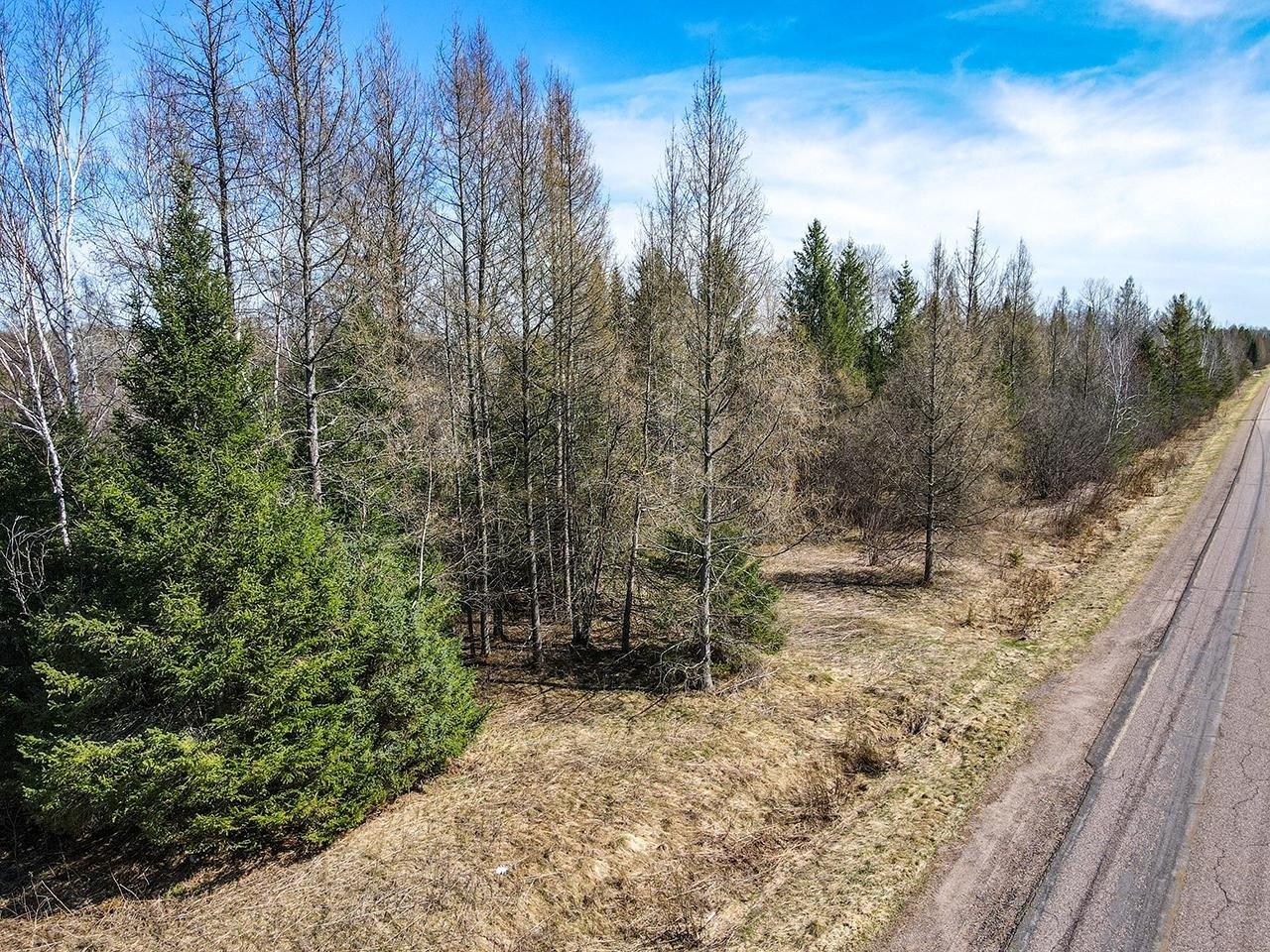 print property image