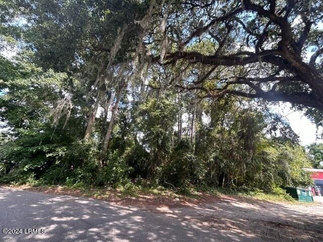 Property Image for Tbd Savannah Highway