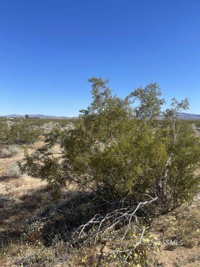 Property Image for Red Rock Inyokern Rd