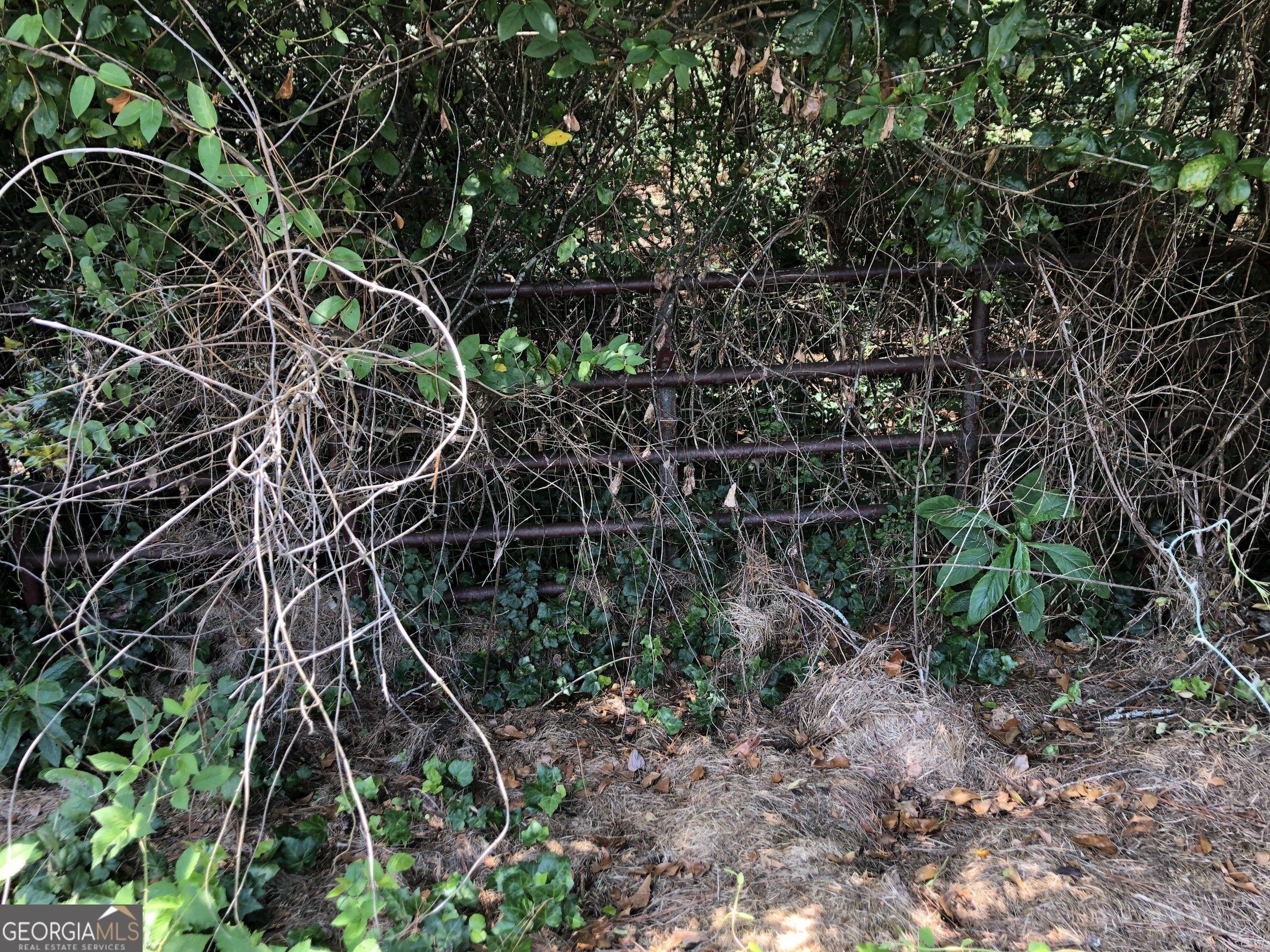 print property image