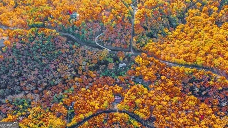 print property image