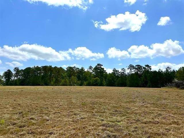 Property Image for TBD Lakeland Ranch Lot 84