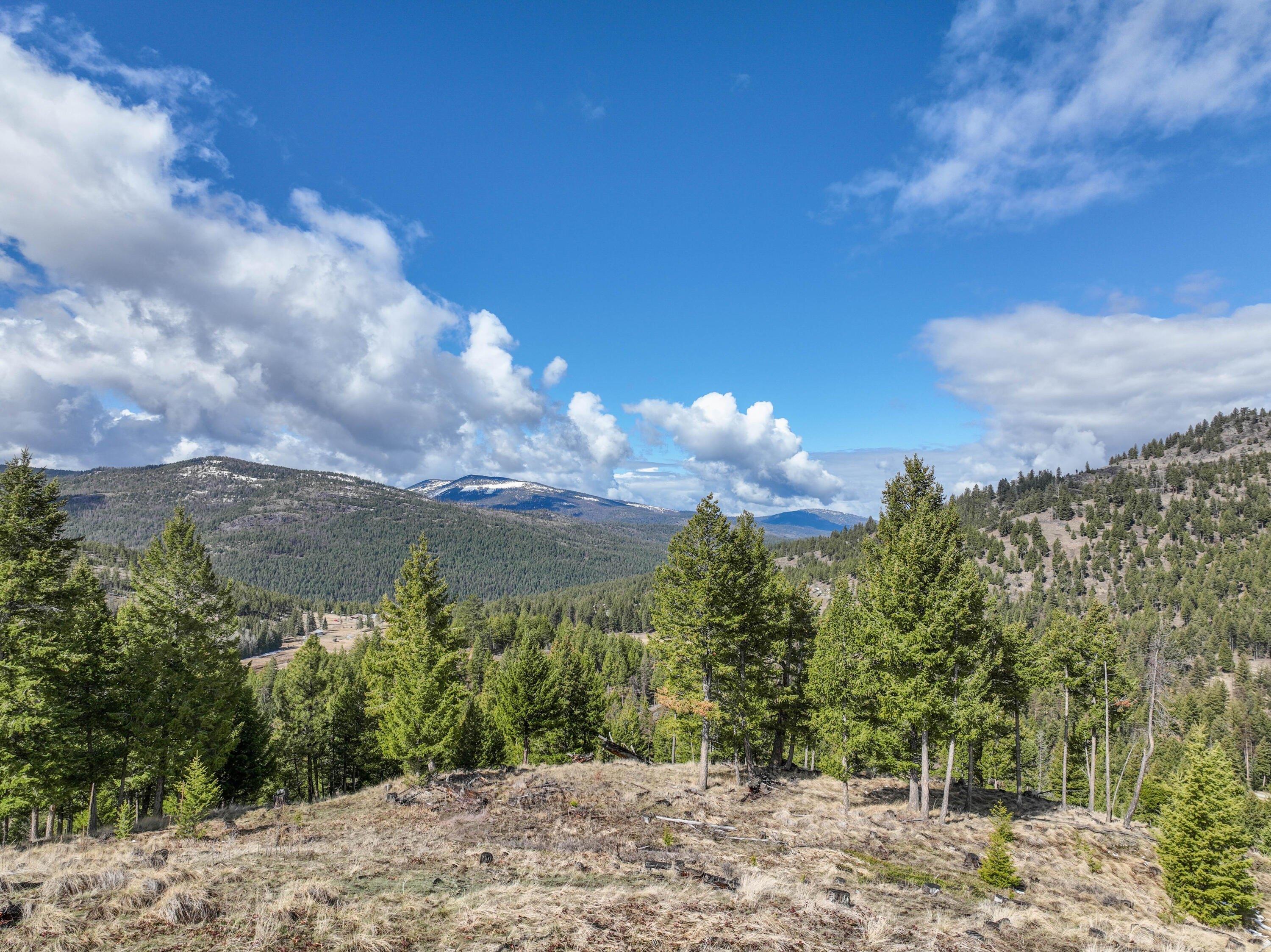 print property image
