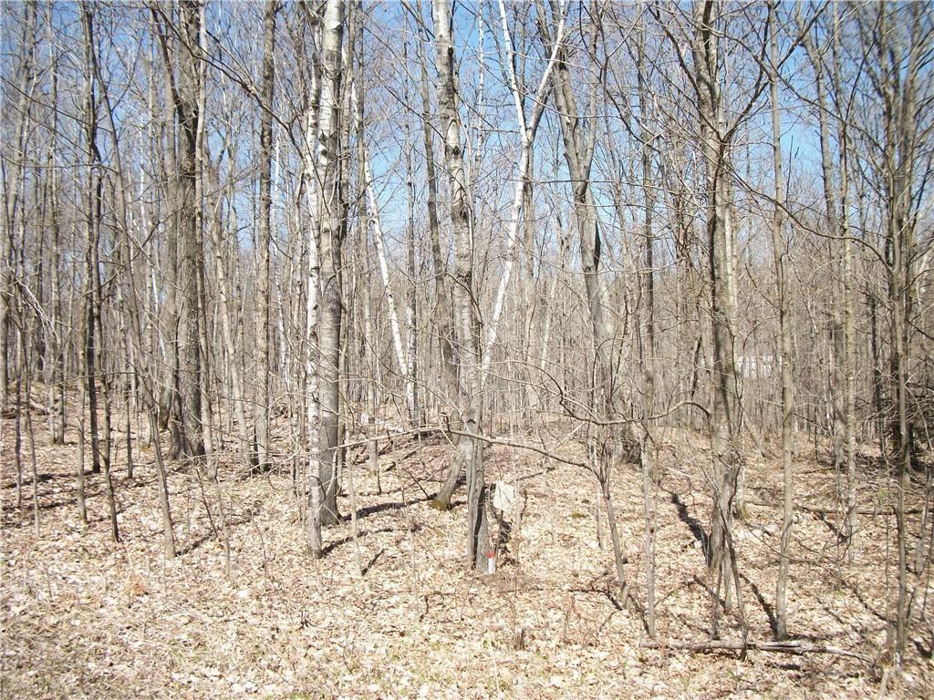 Property Image for Lots #99 & #100 WOODS (SPRUCE) Avenue