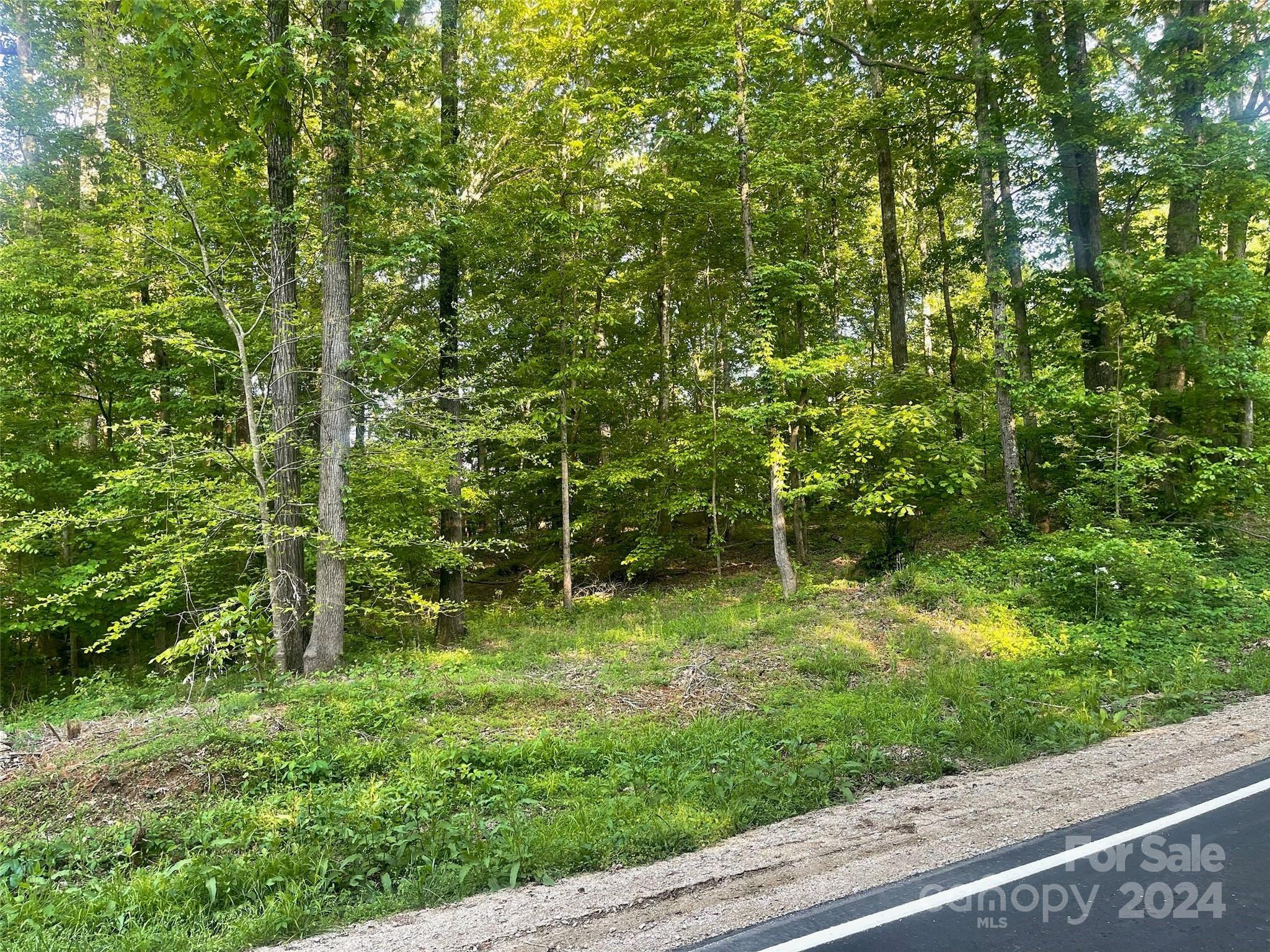 Property Image for 000 Mcwhorter Road