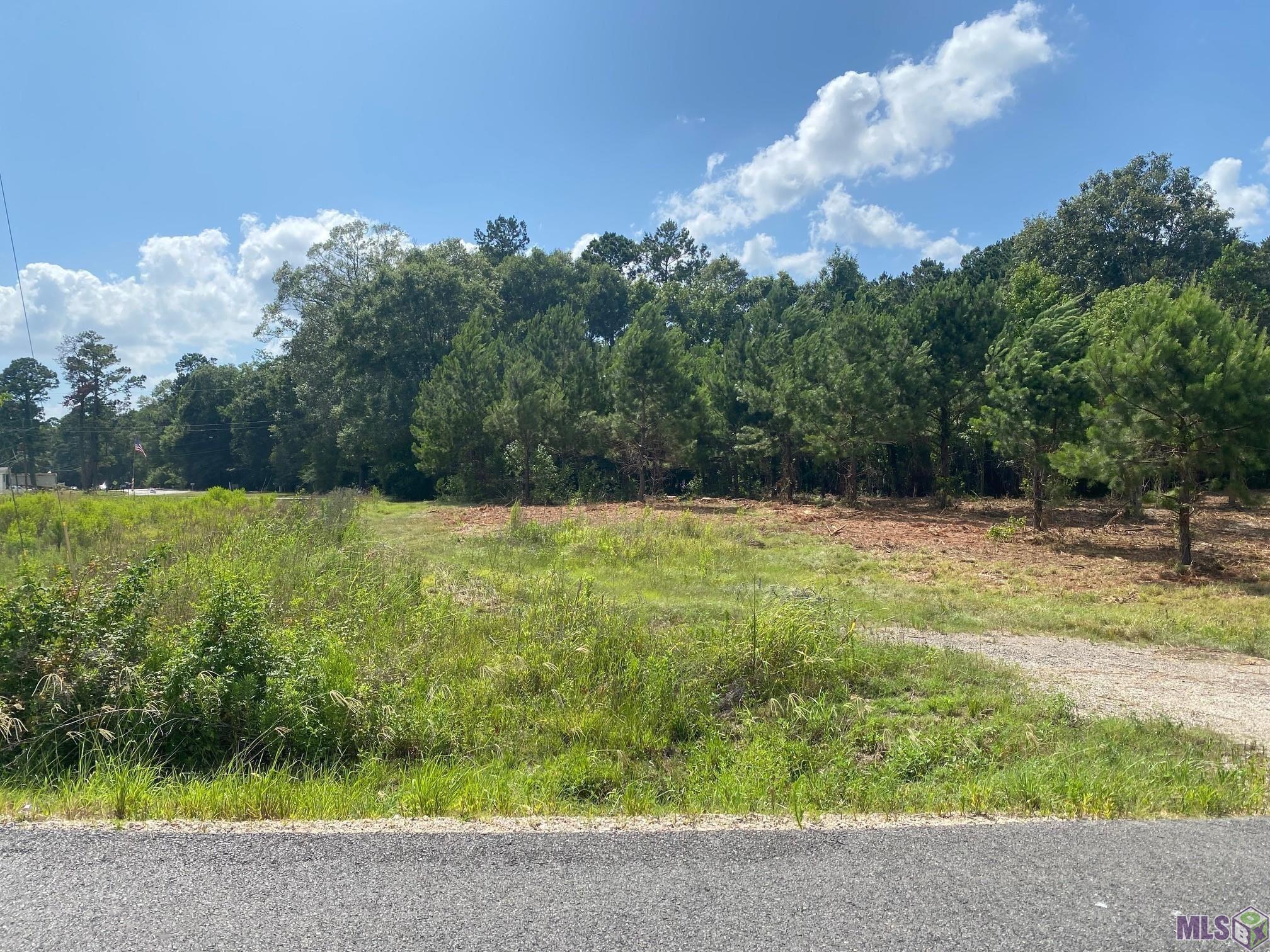 Property Image for 18371 Amite Acres Dr
