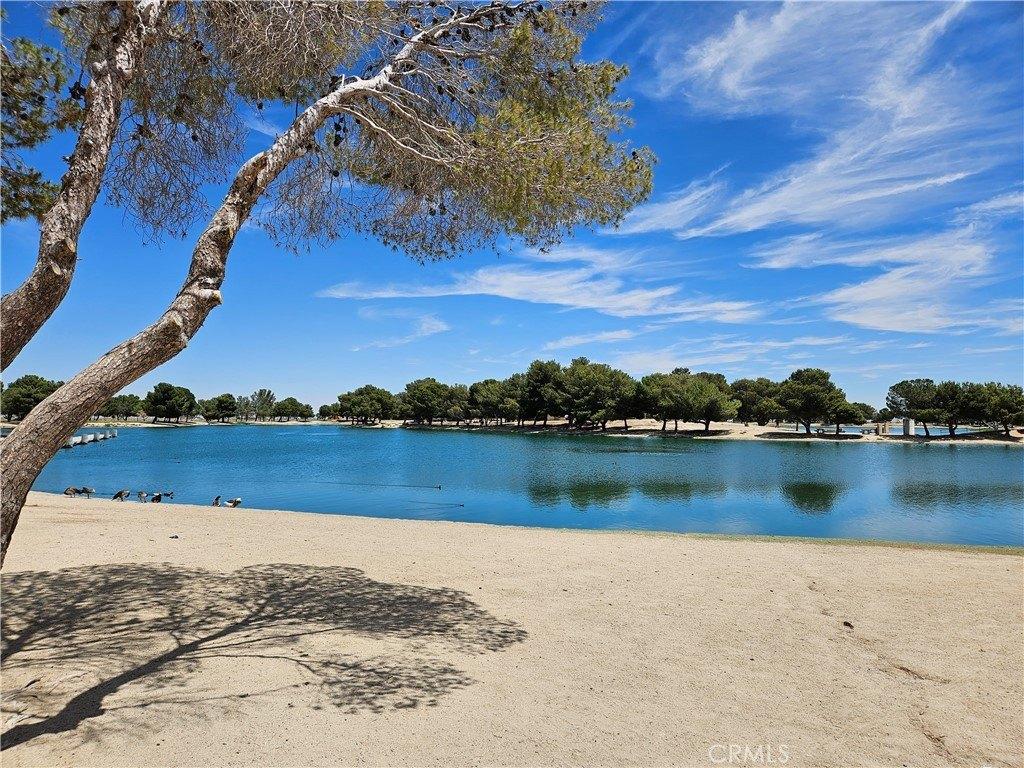 print property image