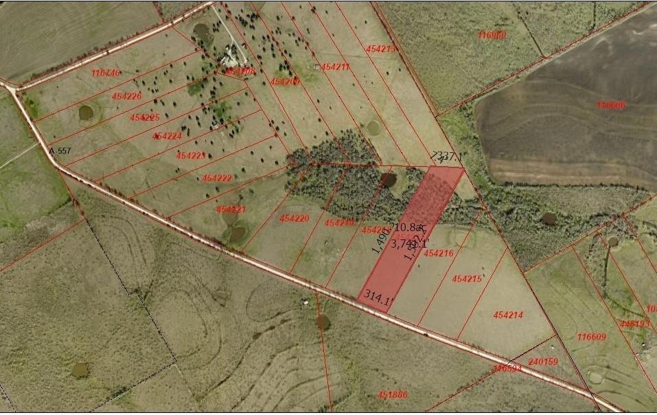 print property image