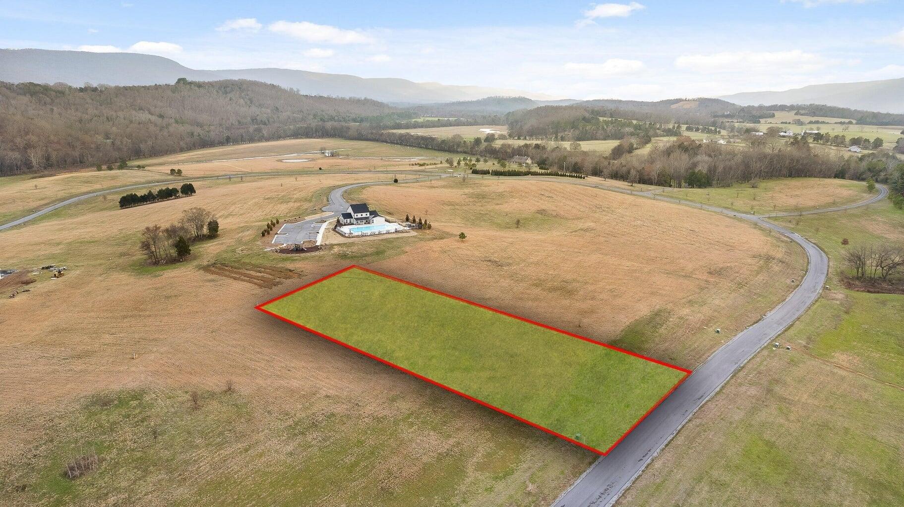 print property image