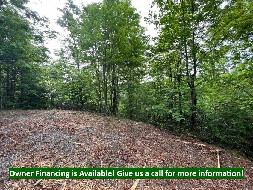 Property Image for Lot 180e Jones Creek Lane