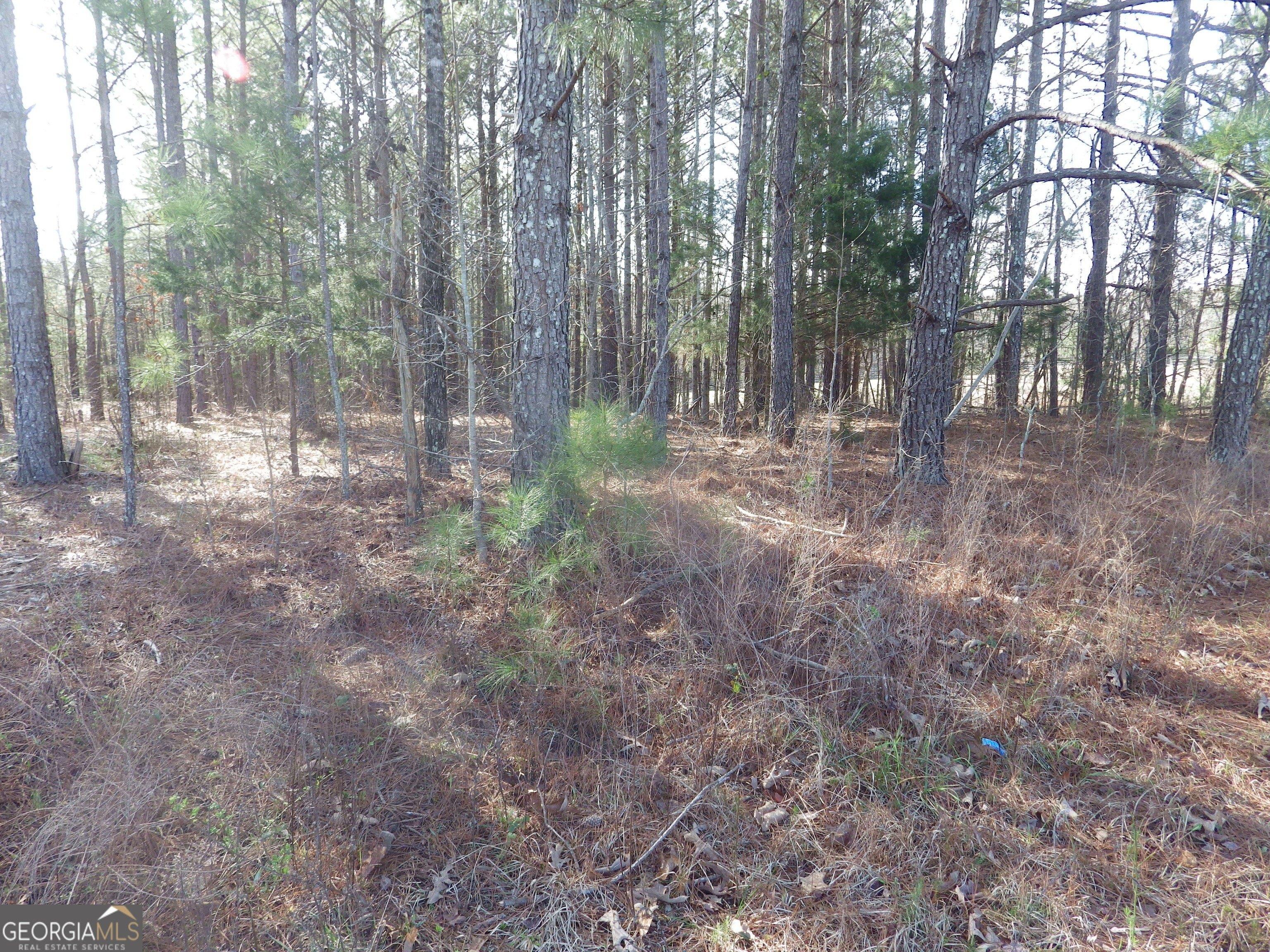 226575 Grand Oaks Dr