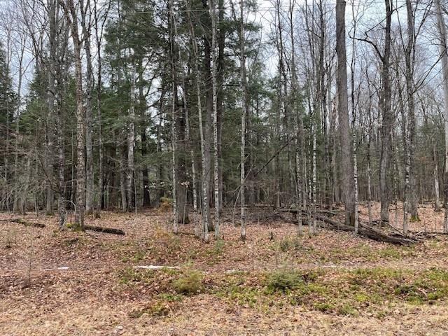 Property Image for On FOREST LAKE RD W Lot 2