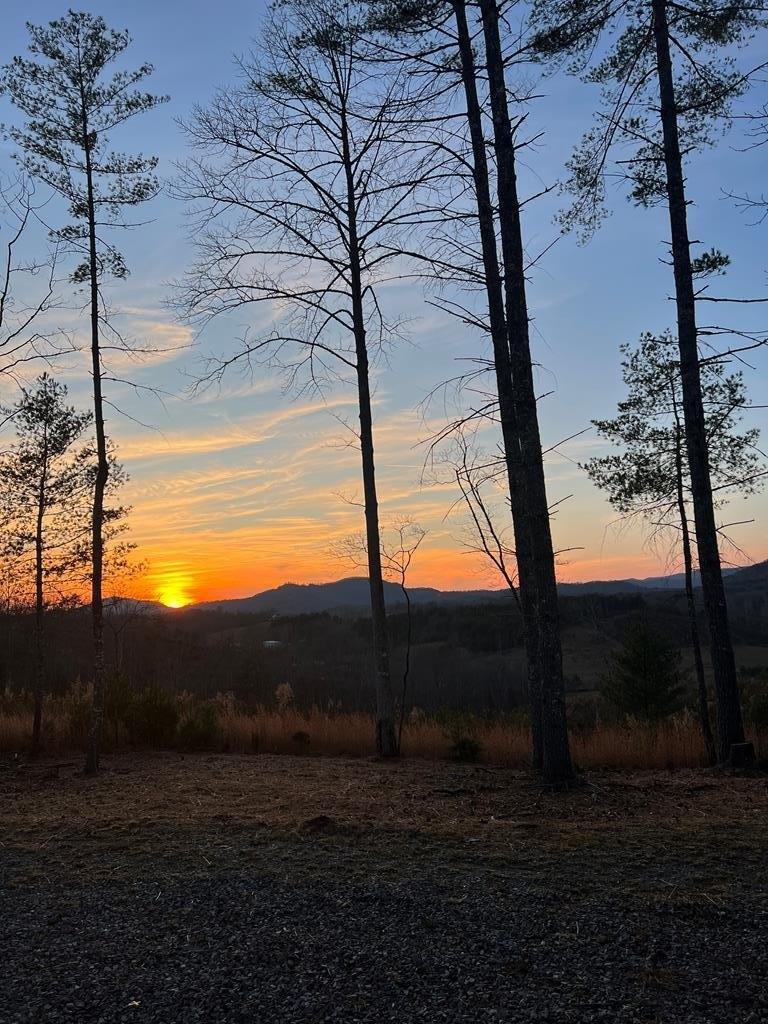 print property image