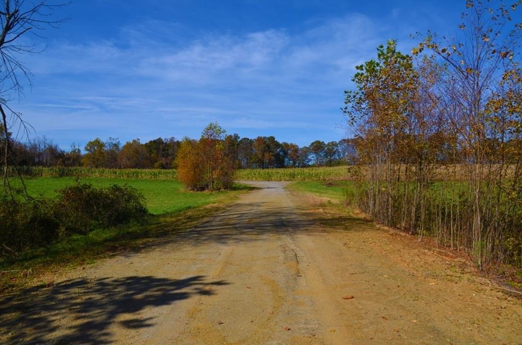 Property Image for 00000 Belcher Mountain Road