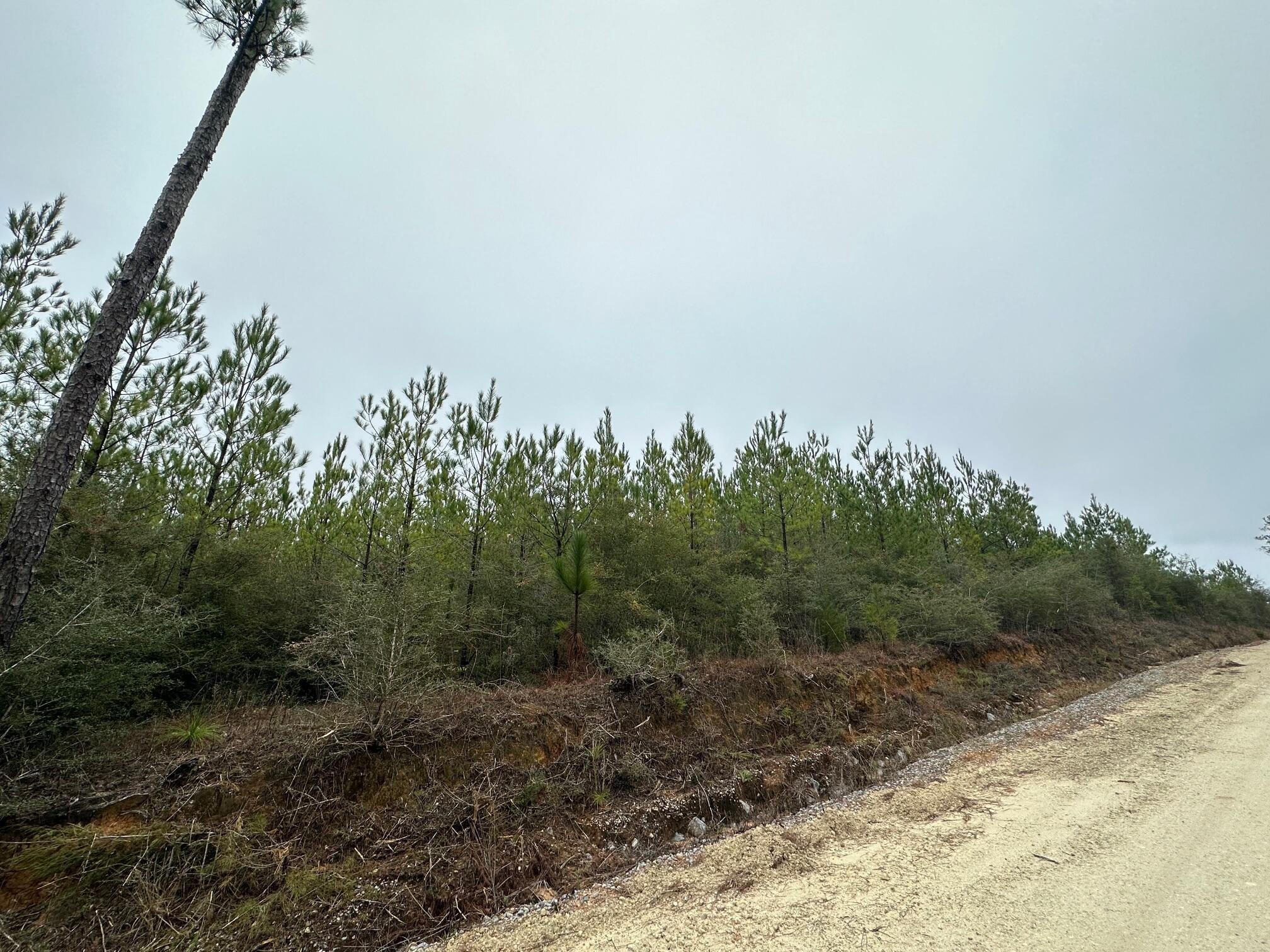 Property Image for Tract#6418 N Mattox Springs Road N1