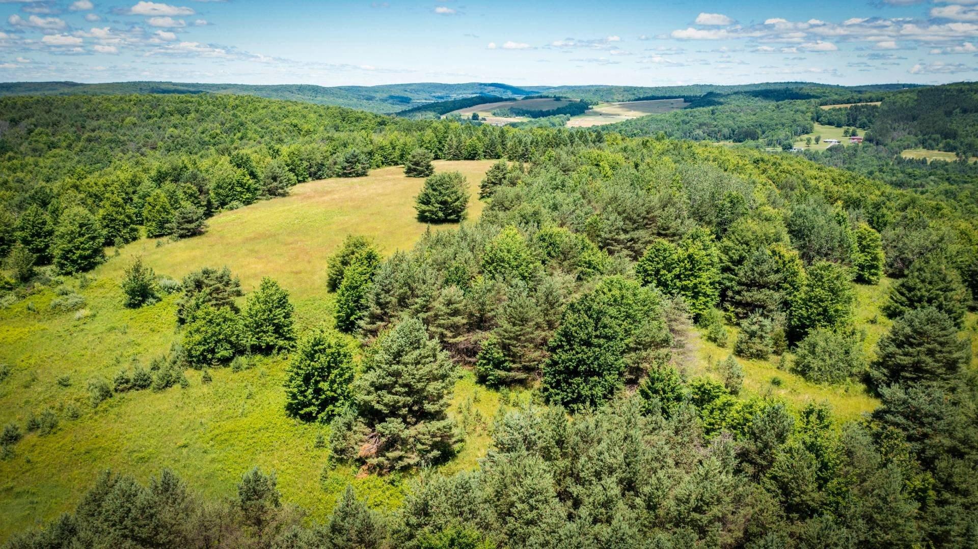 print property image