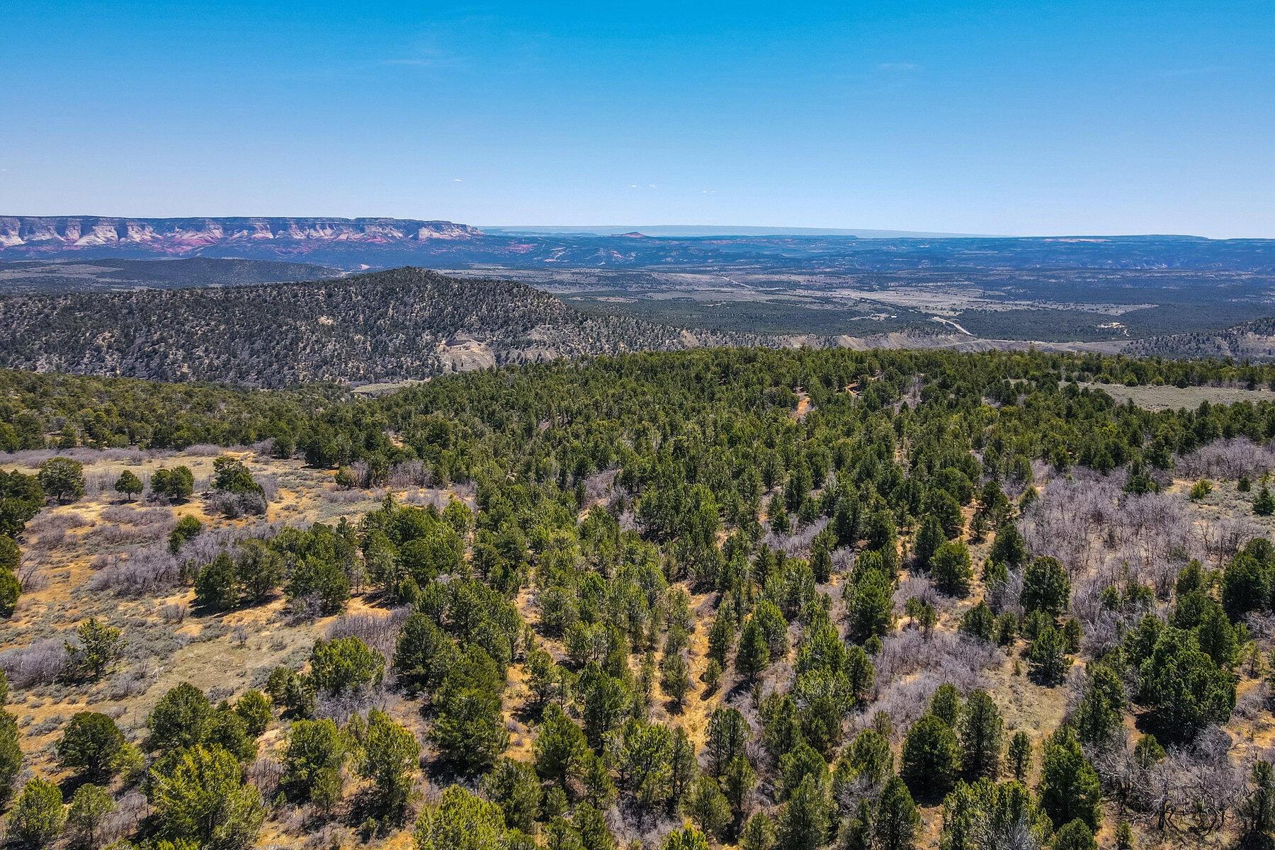 Property Image for 829.15 Acres East of Zion
