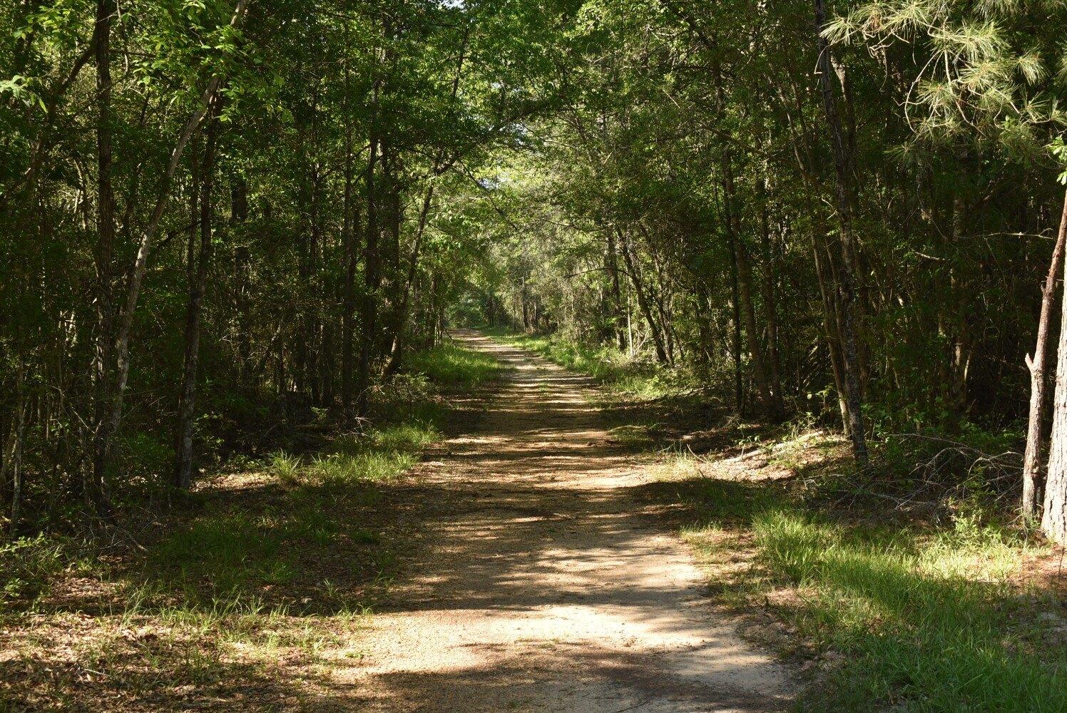 Property Image for 0 Oceola Rd
