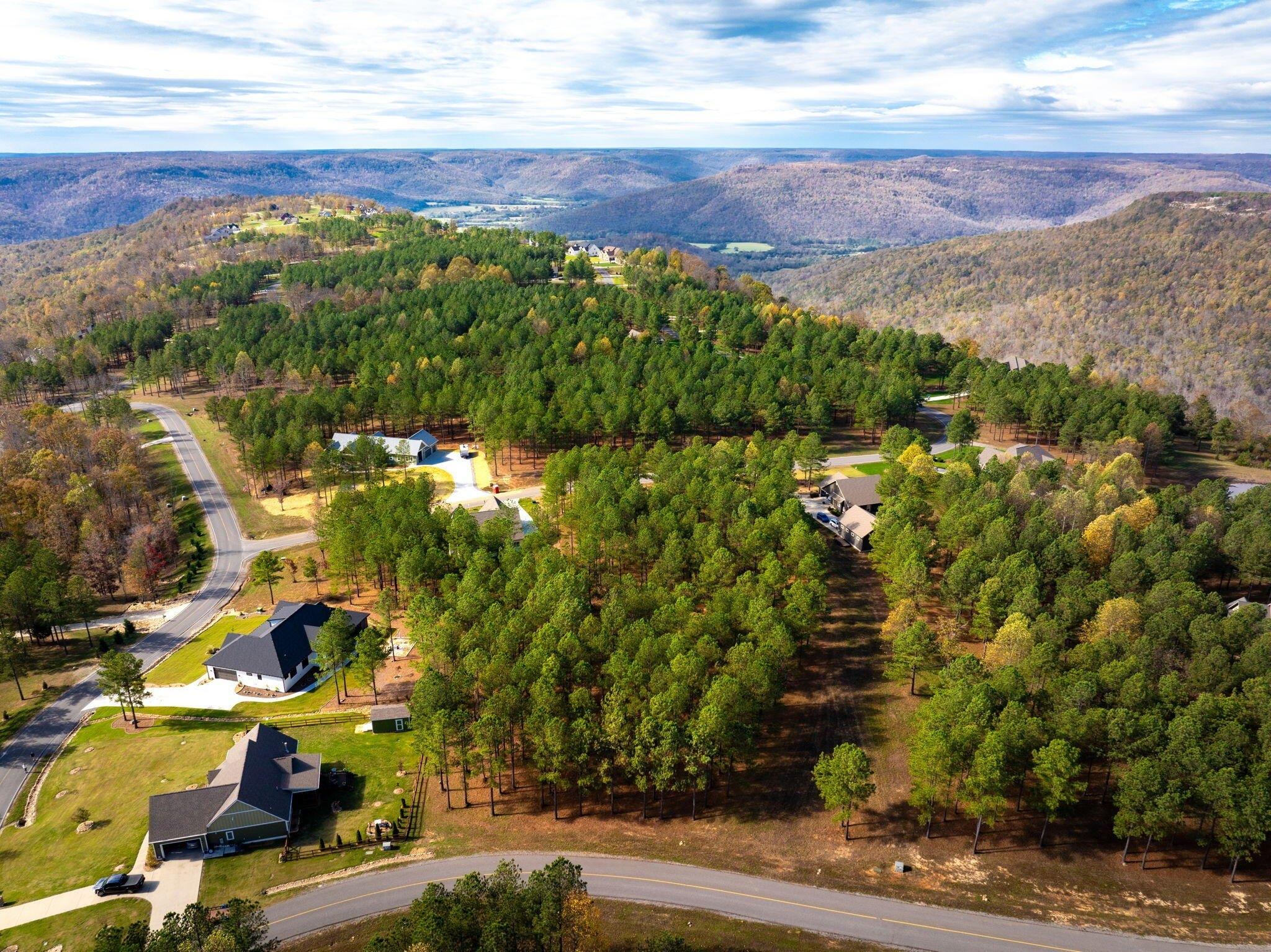 print property image