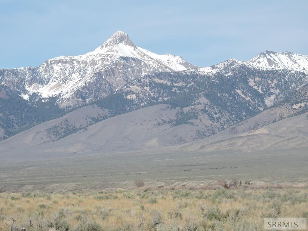 print property image