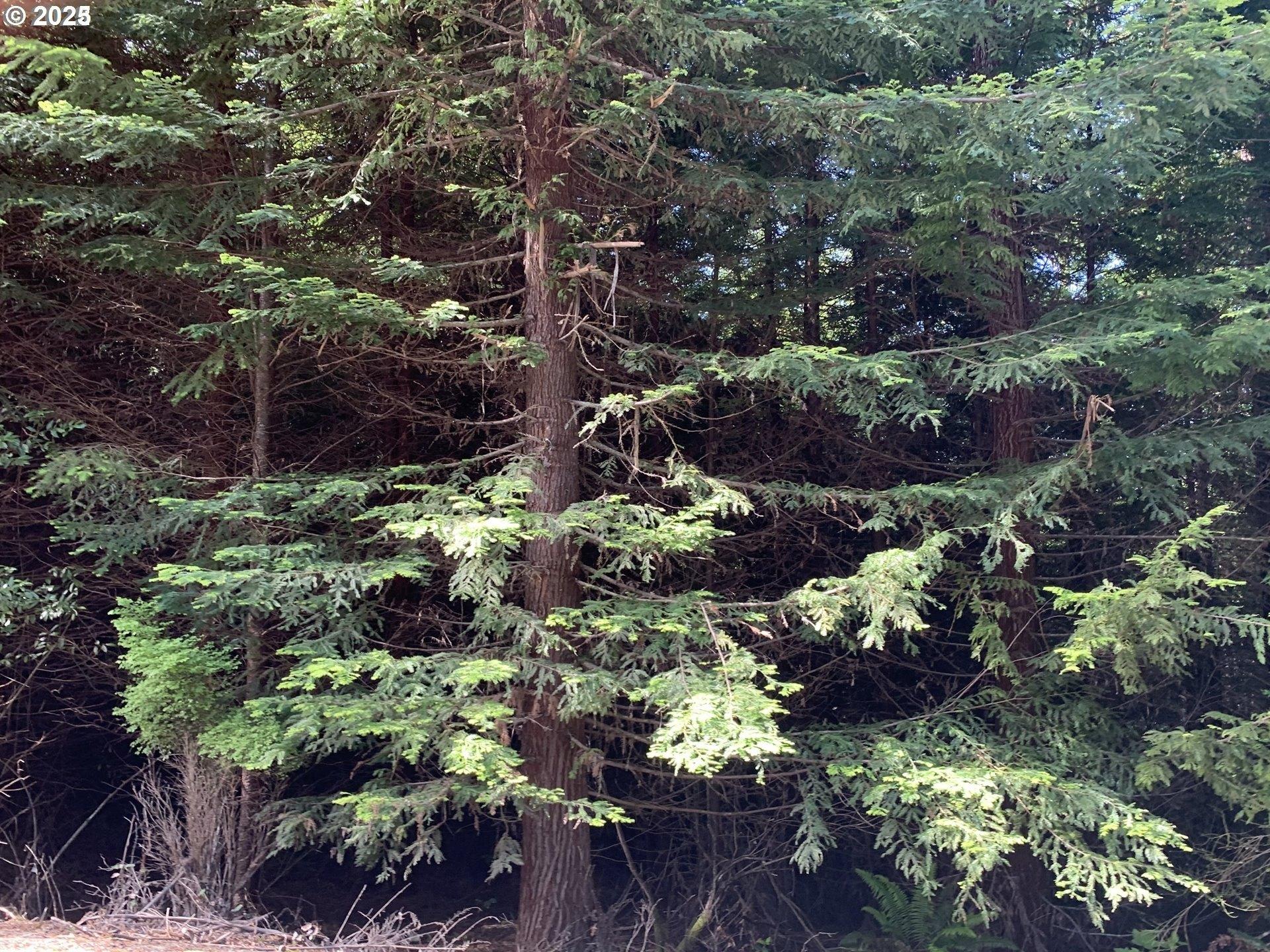 print property image