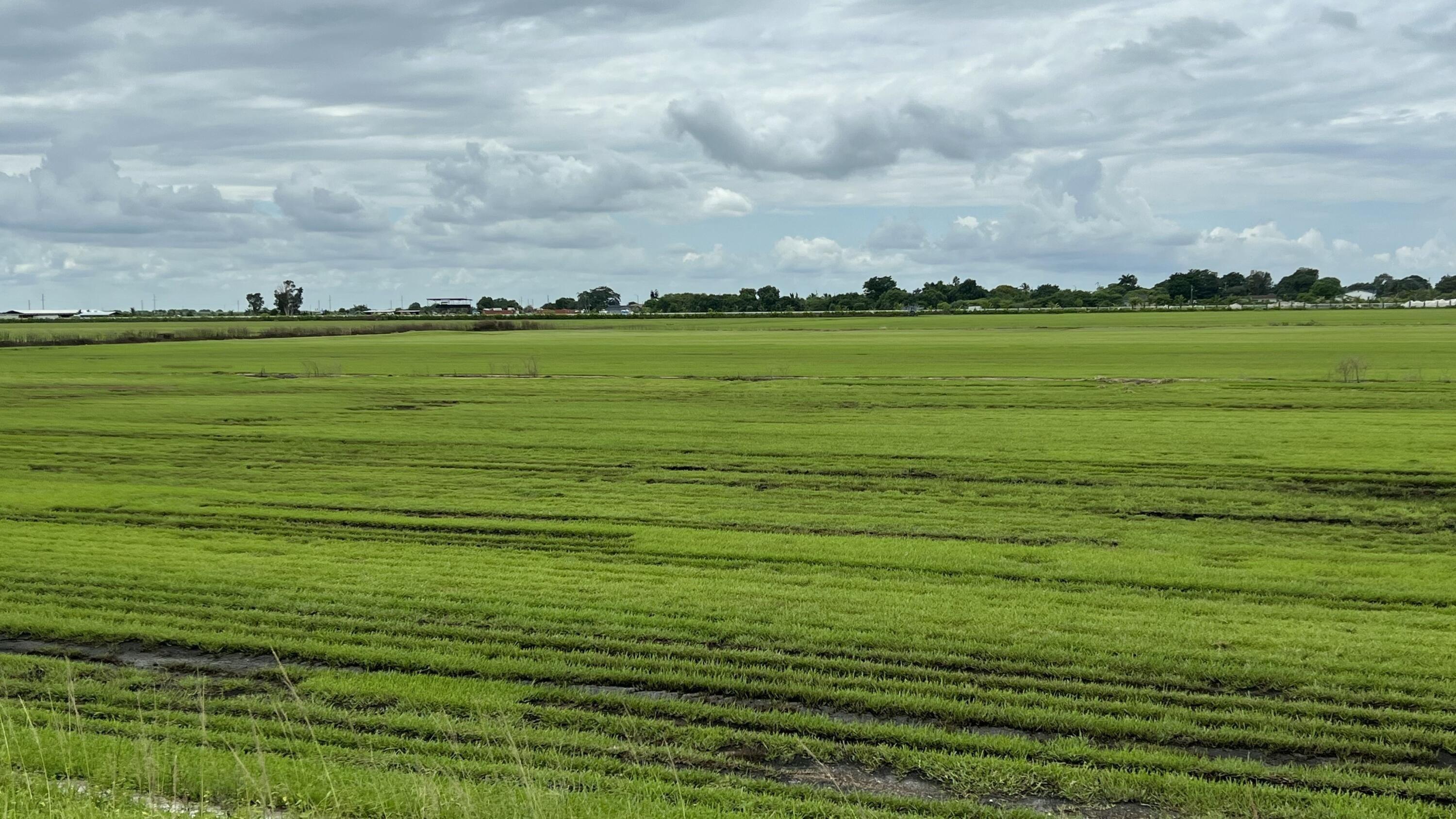 Property Image for 400 State Road 80