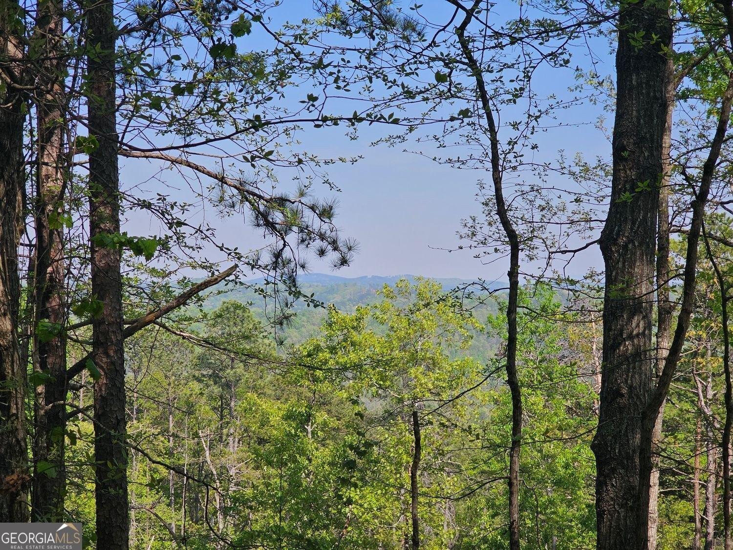 print property image