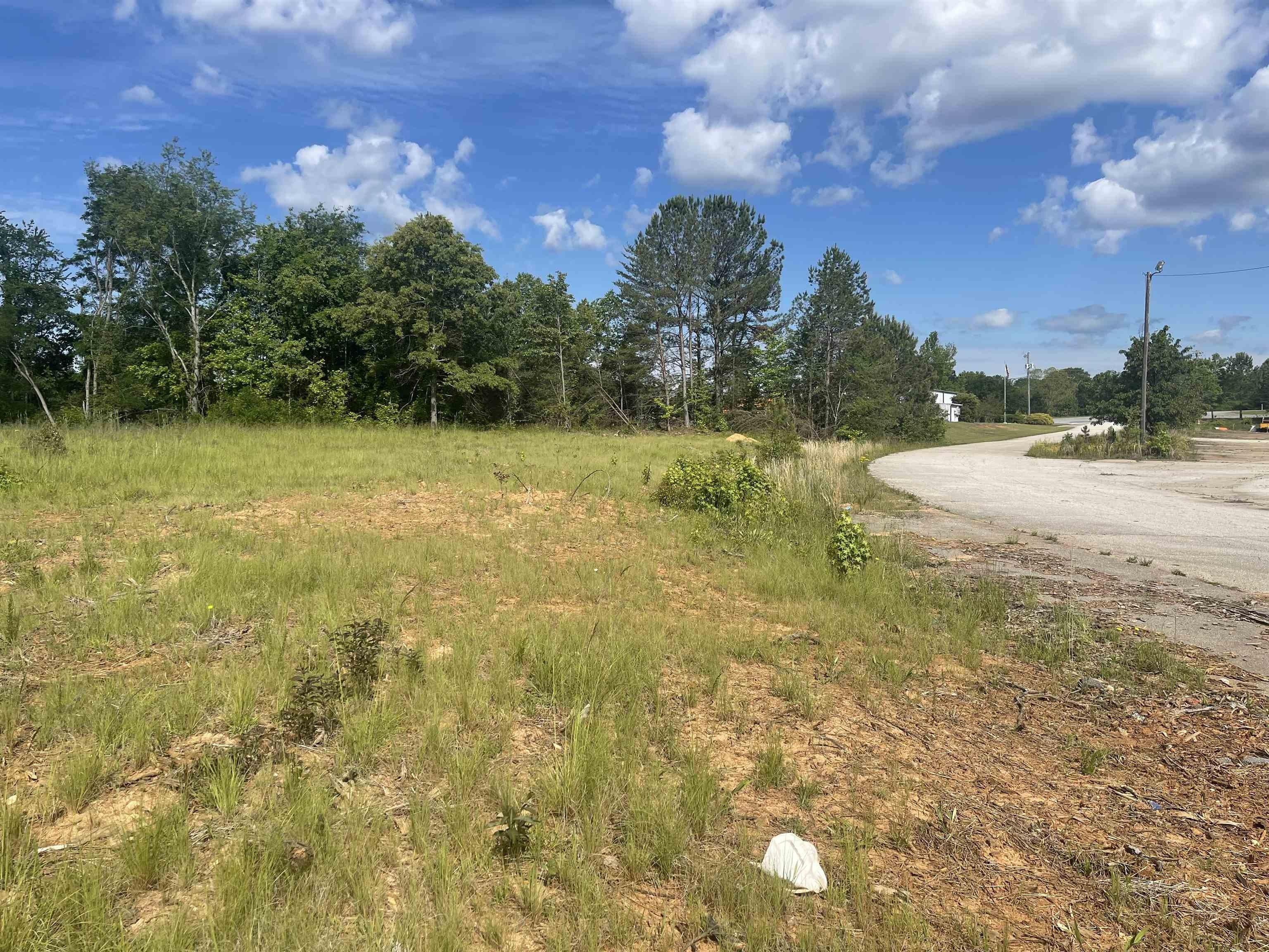 Property Image for 0 Stan Perkins Road