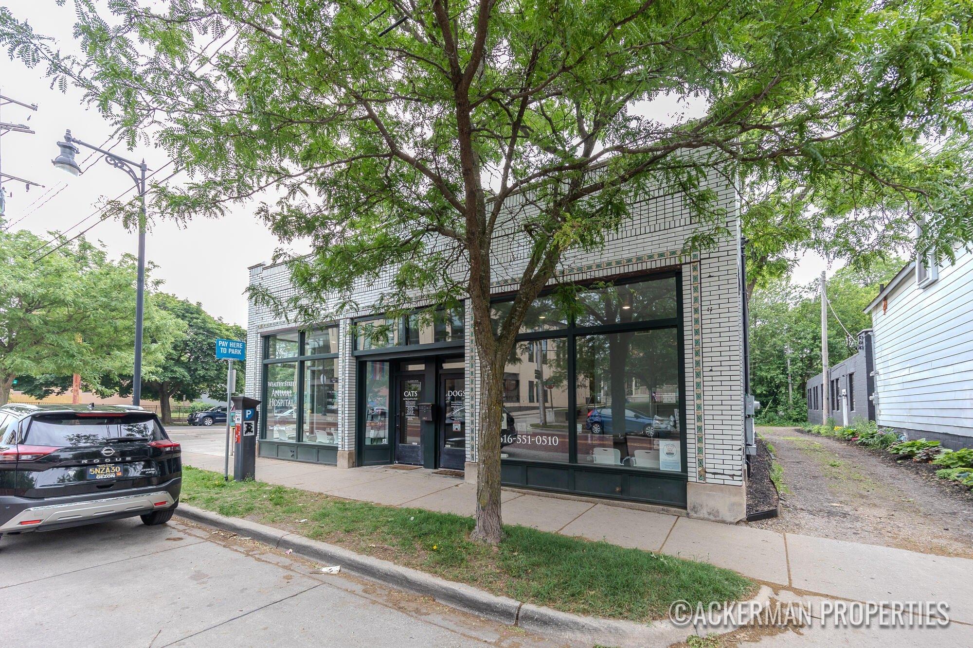 Property Image for 1052 Wealthy Street SE