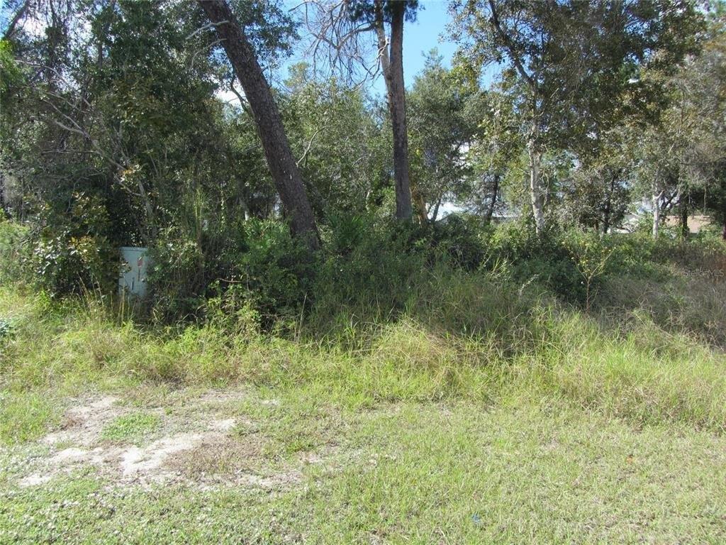 Property Image for 1688 Catalina Blvd