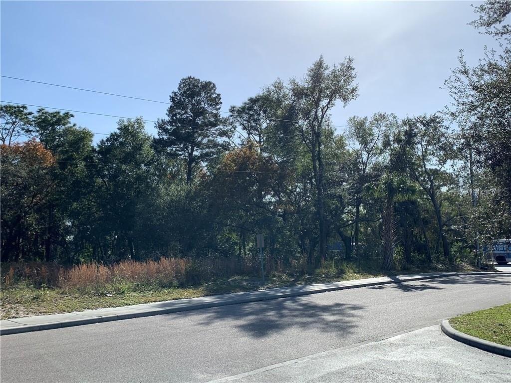 Property Image for 0 Talmo Street