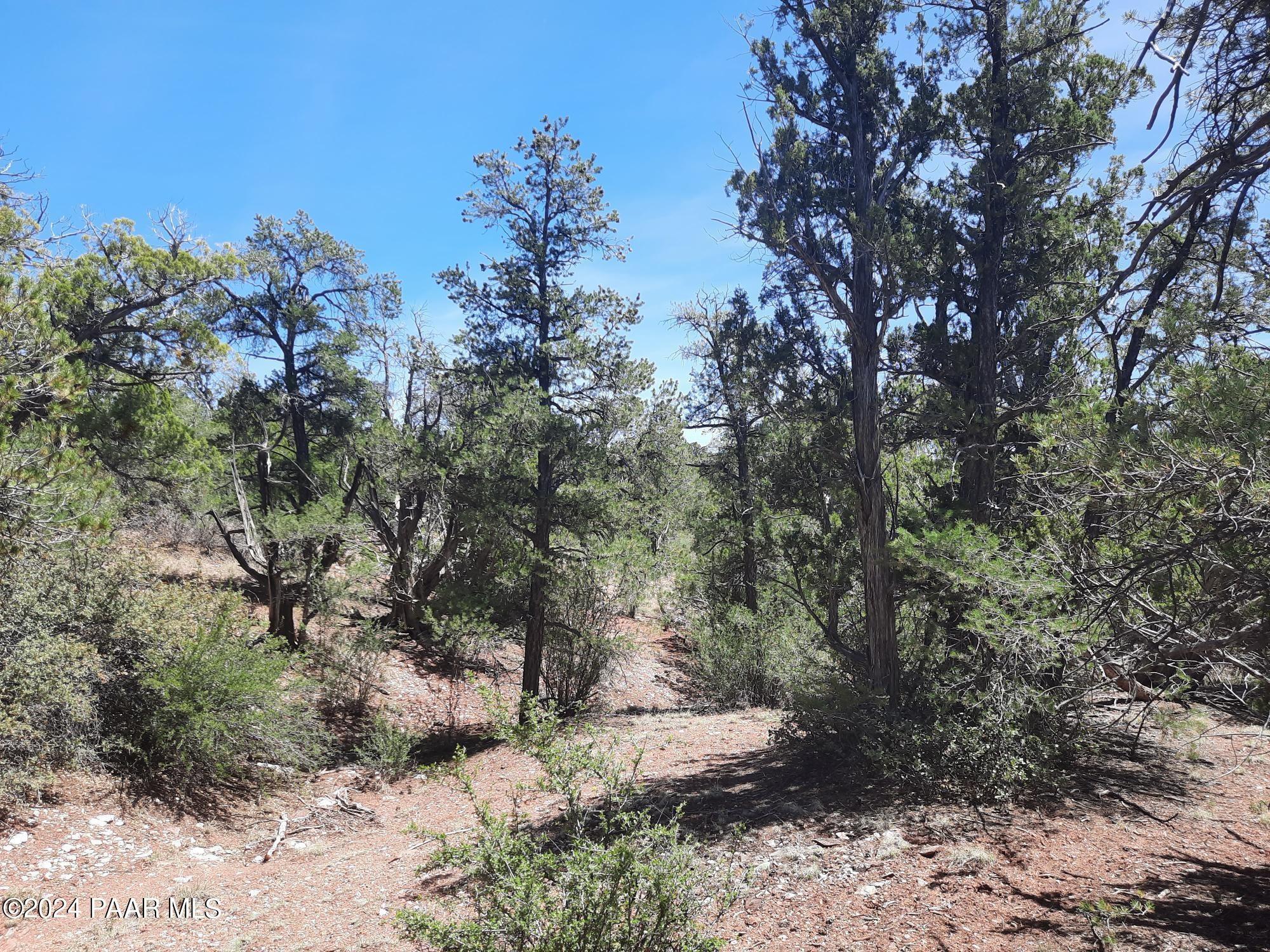 Property Image for Lot 130 Forest Acres
