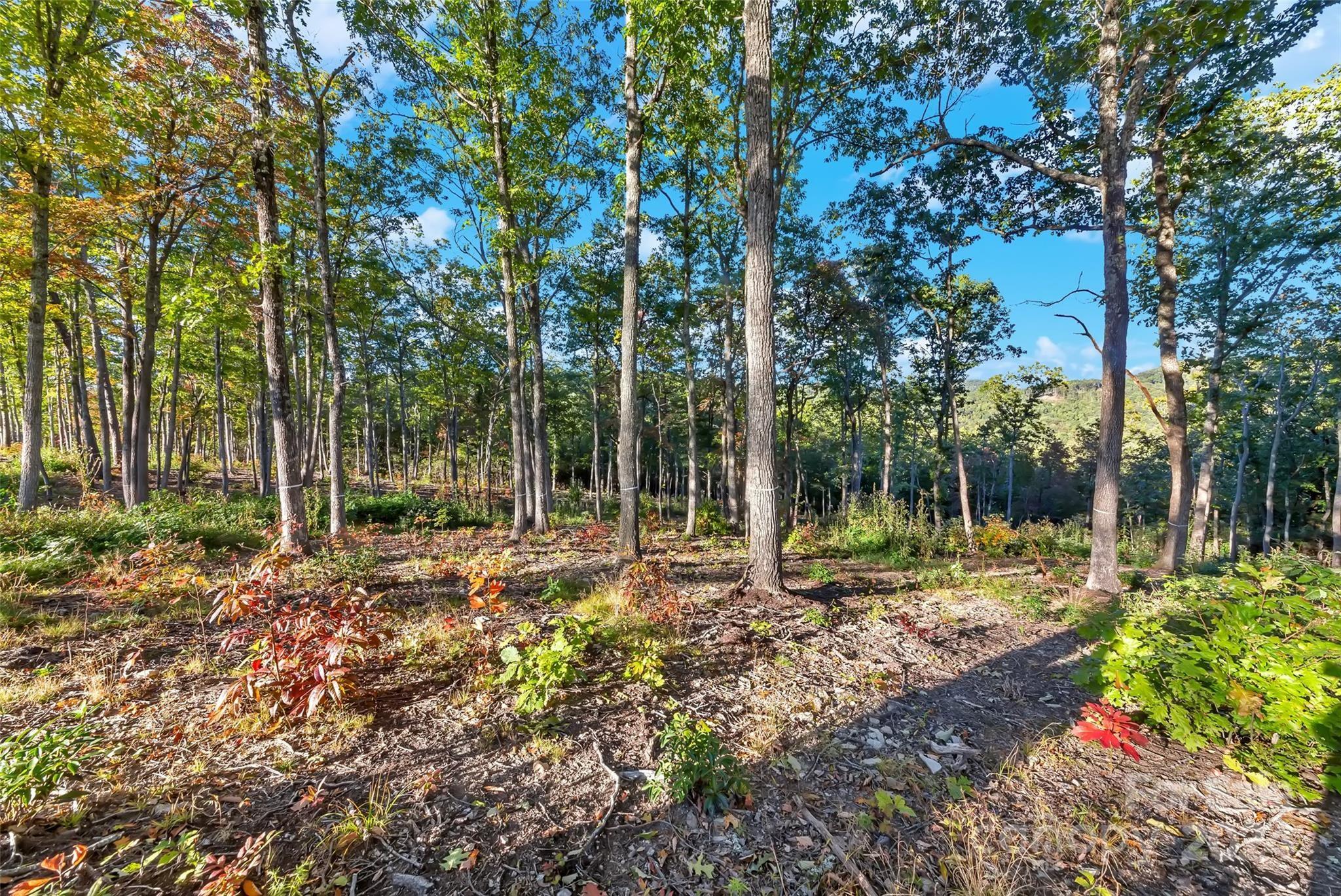 Property Image for Lot 58 Mountain Grove Lane LOT 58
