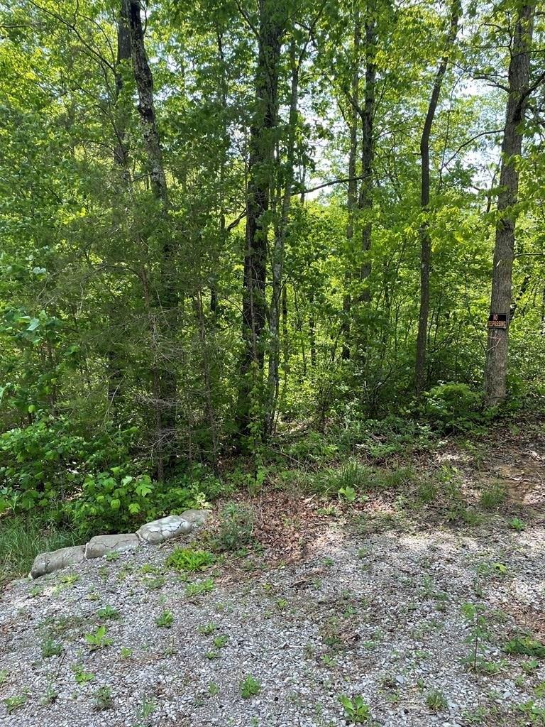 Property Image for 3 rd Ct