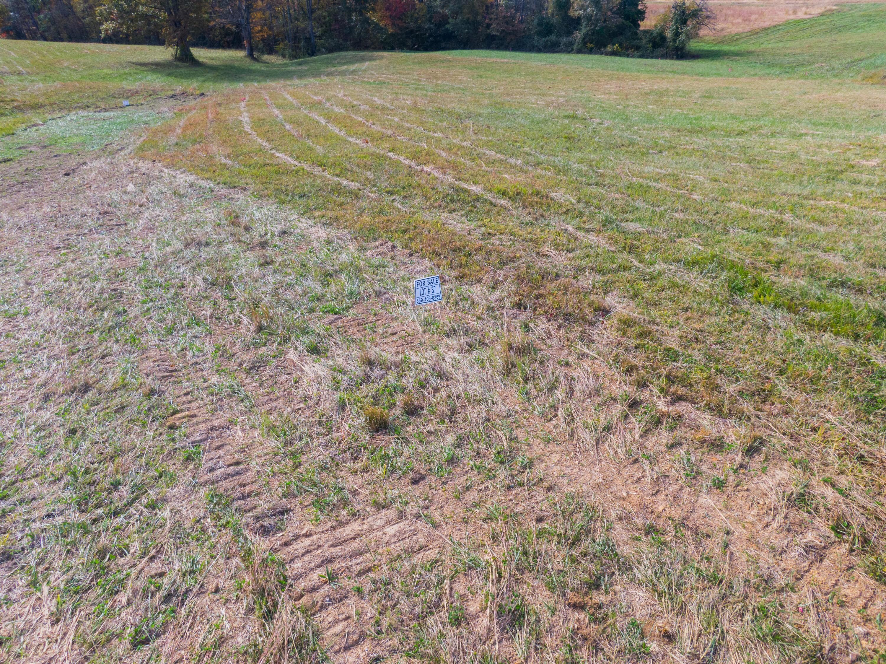 Property Image for Lot 37 Spring Branch Hollow Road
